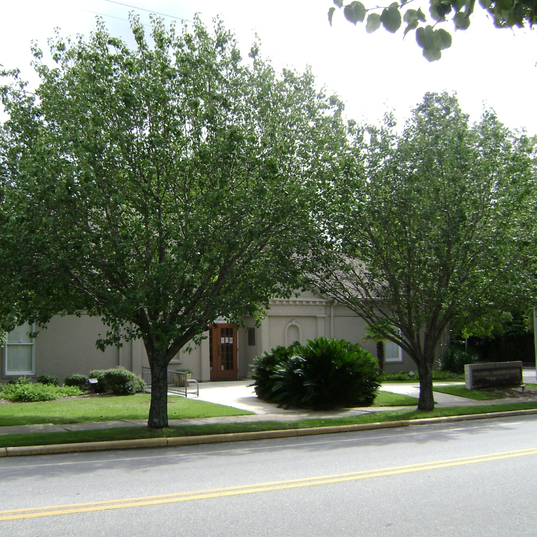 Hahira GA Tree City